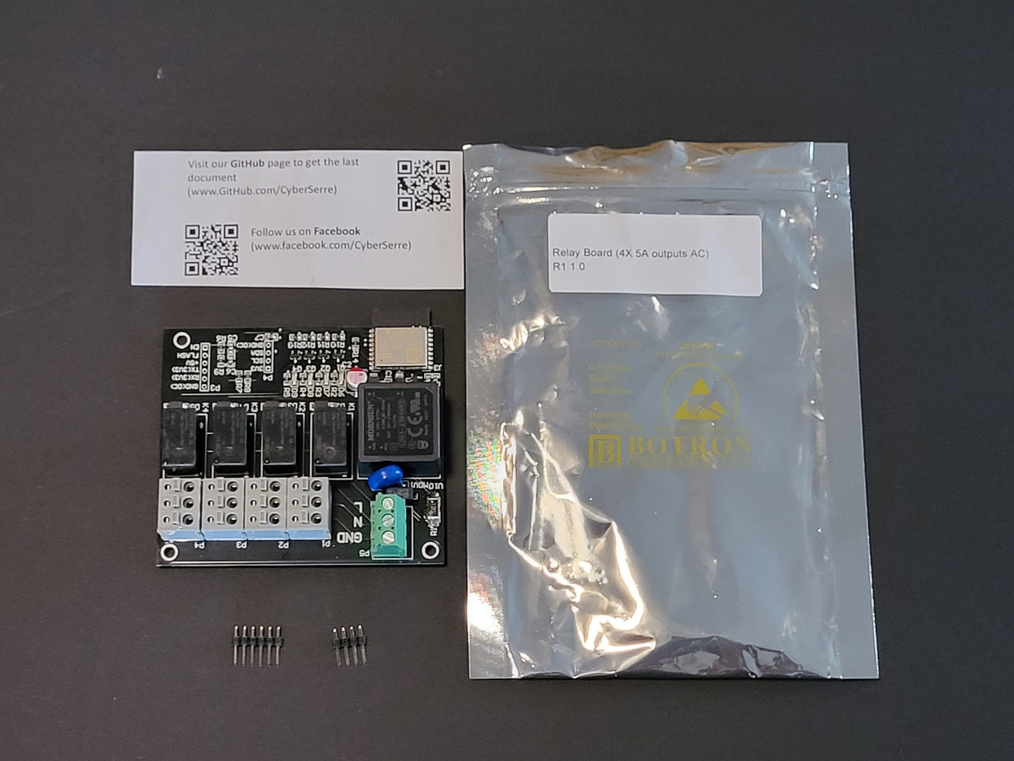 Relay Board (4X 5A outputs AC)